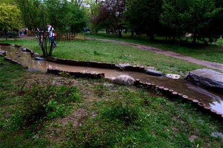 japanes_garden_rain_Herastrau (4)