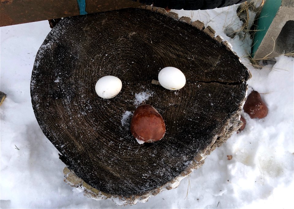 Happy Stump Face