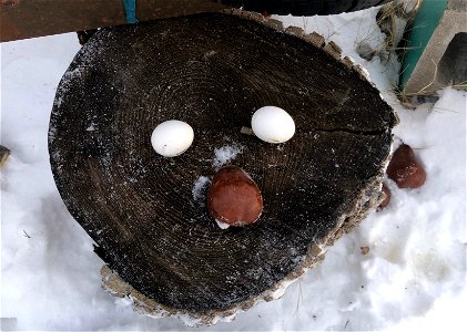 Happy Stump Face