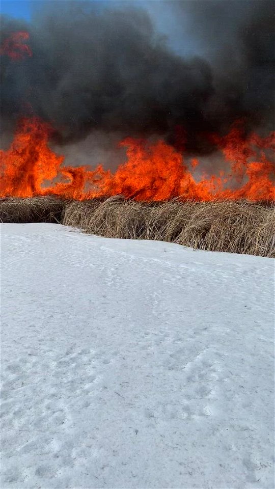 2021 USFWS Fire Employee Photo Contest Category: Video