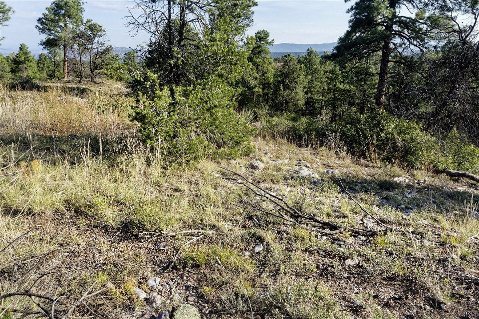 North-northeast of Truchas