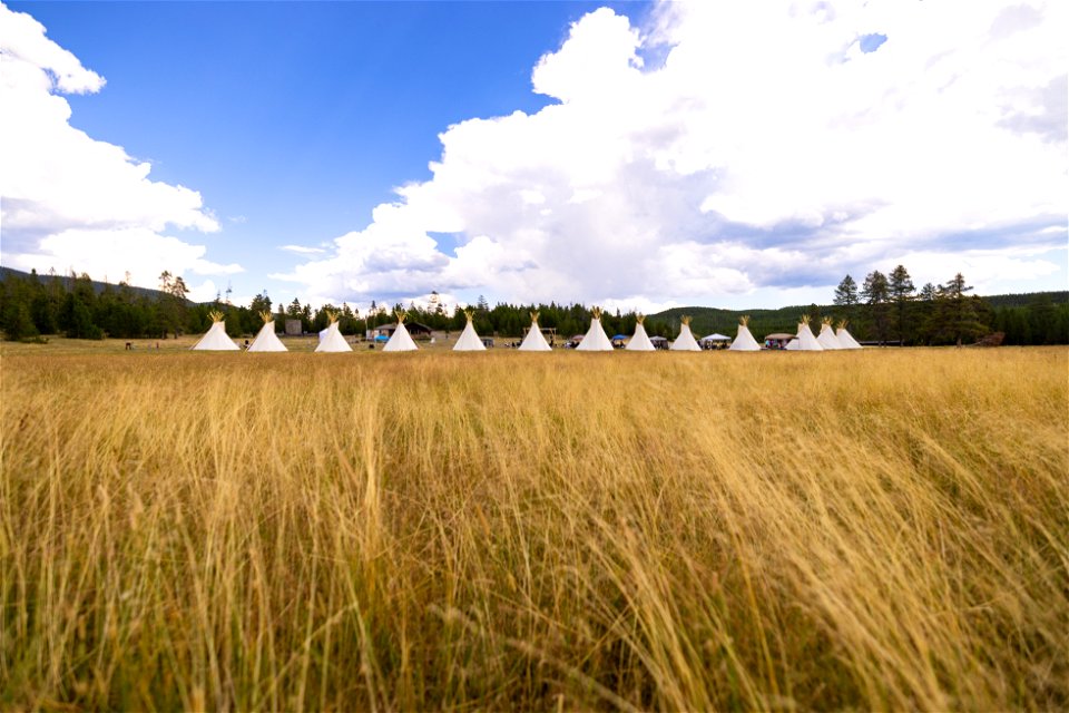 Yellowstone Revealed: teepee Village at Madison Junction (7)