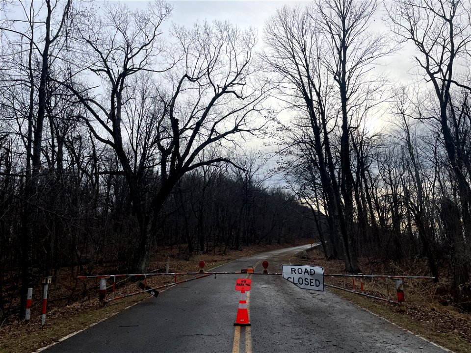 Ice Storm Cleanup North District/Fox Hollow Trail