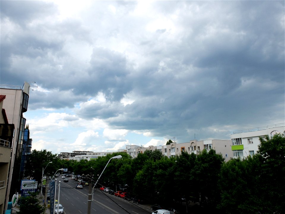 nori-sediu2015_0526_165004(1)
