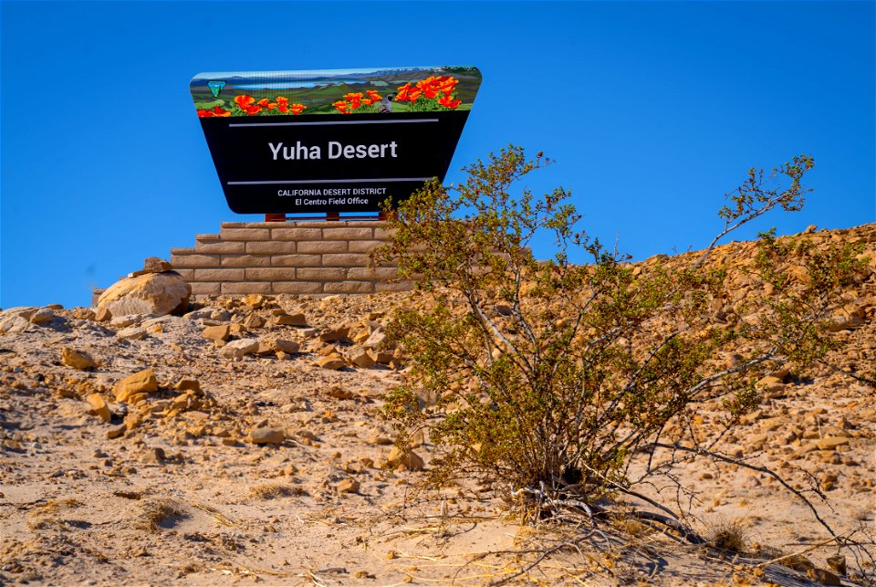 Yuha Desert photo