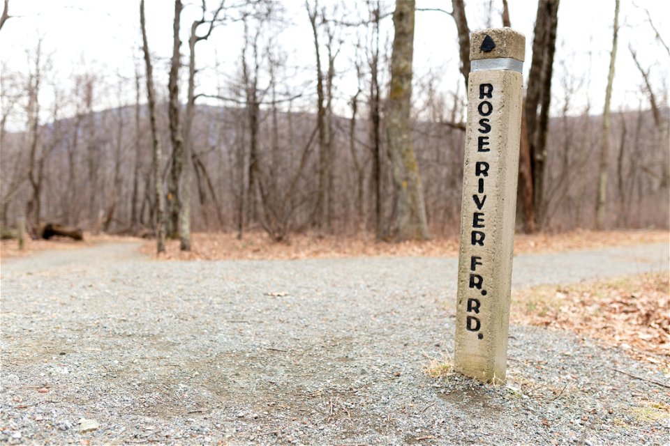 Trail post Rose River Fire Road