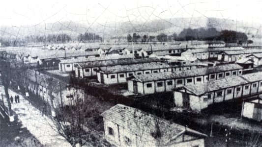 Cimetière du Camp du Vernet - Cemetery of the Vernet camp