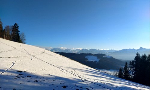 IMG_20220122_161348
