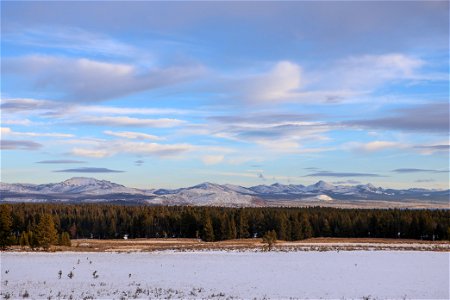 View of the Absaroka Mountains from a meadow near Fishing Bridge (2)