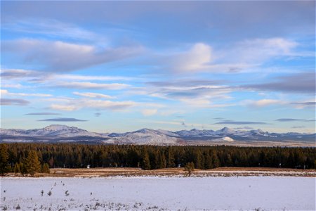 View of the Absaroka Mountains from a meadow near Fishing Bridge (2) photo