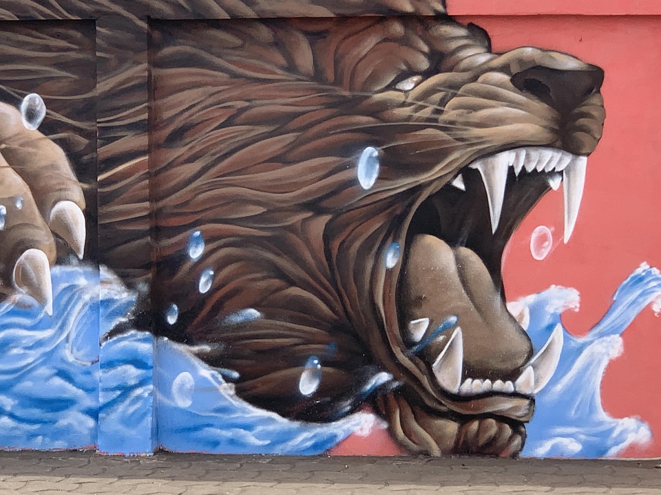 Street art graffiti wall painting