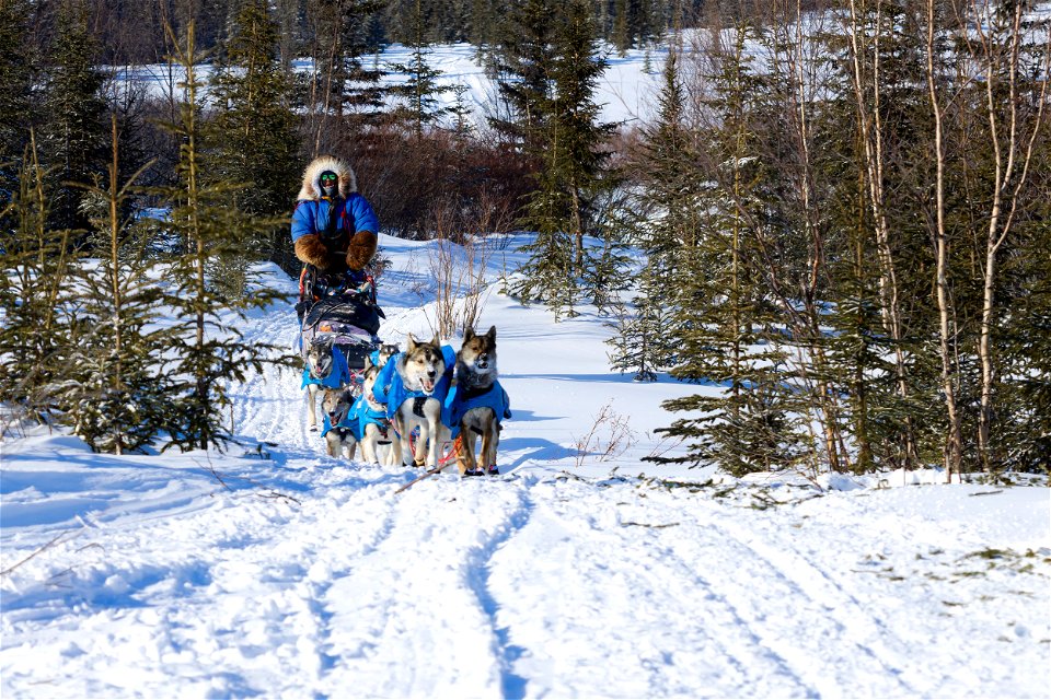 Kobuk 440 racers at Paniqsigvik shelter cabin.