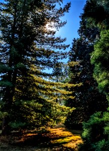 September Drought