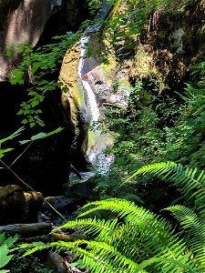 shadow-falls-2017jpg_49364012153_o