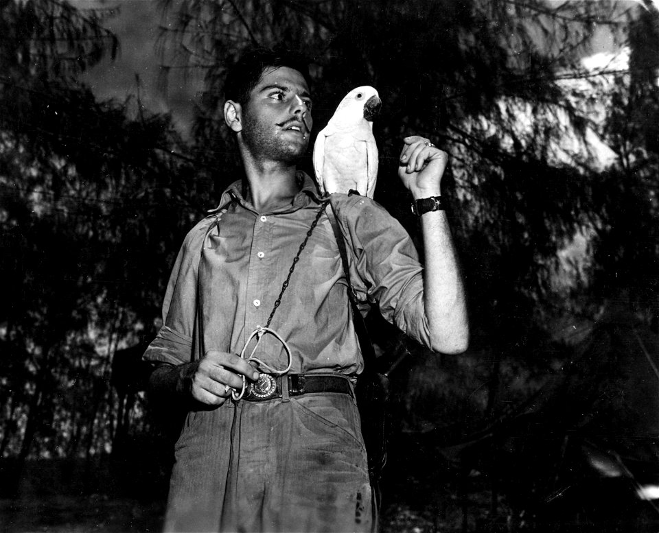Marines with "gooney" bird.