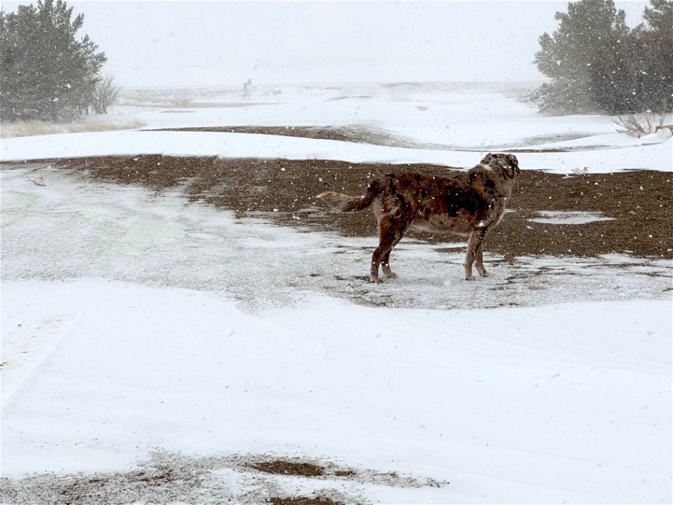 Anyone seen Spring?