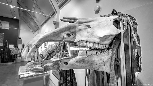 Horse Skull. Hoodening. Folk Custom.