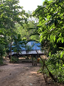 Plant truck garden