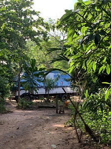 Plant truck garden photo