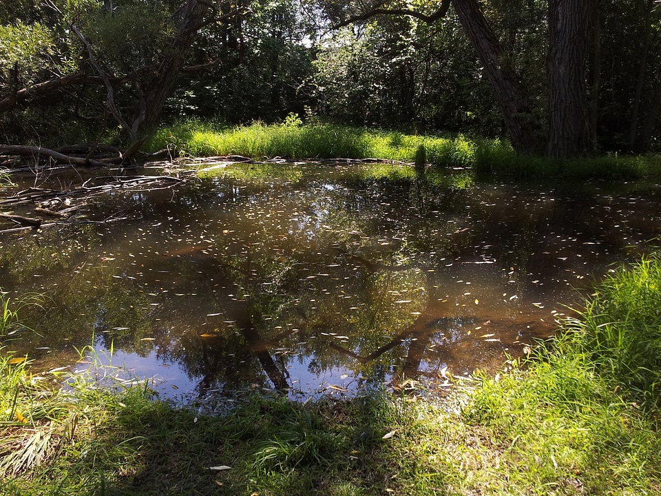 Biotope landscape wilderness