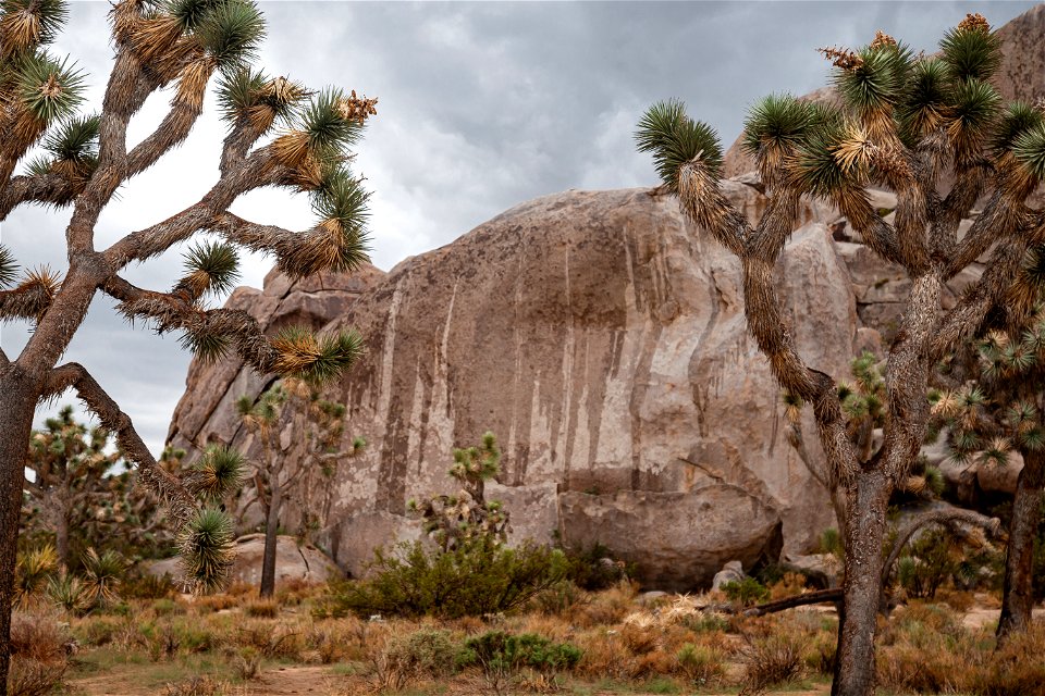 Cap Rock Weeps in Rain photo