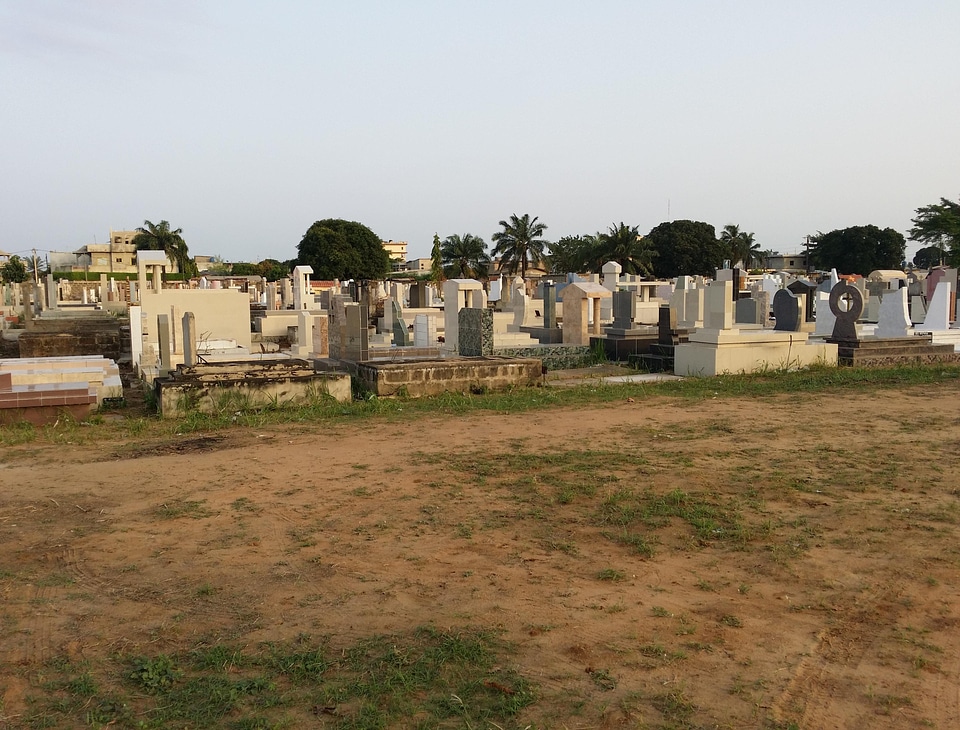 Tree cemetery corpse