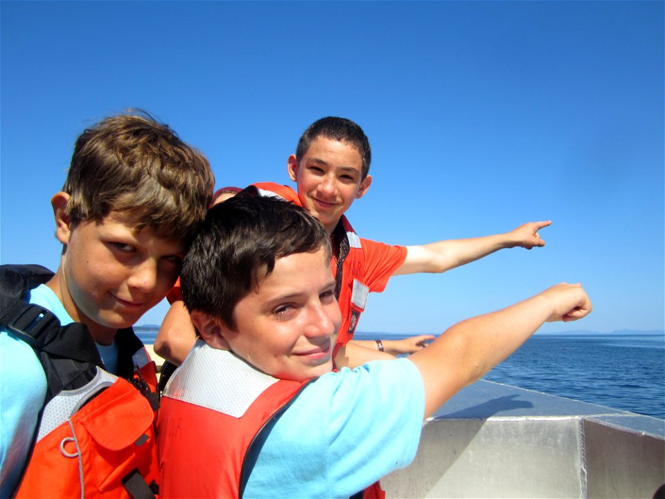 Wildlife Watching while on the boat