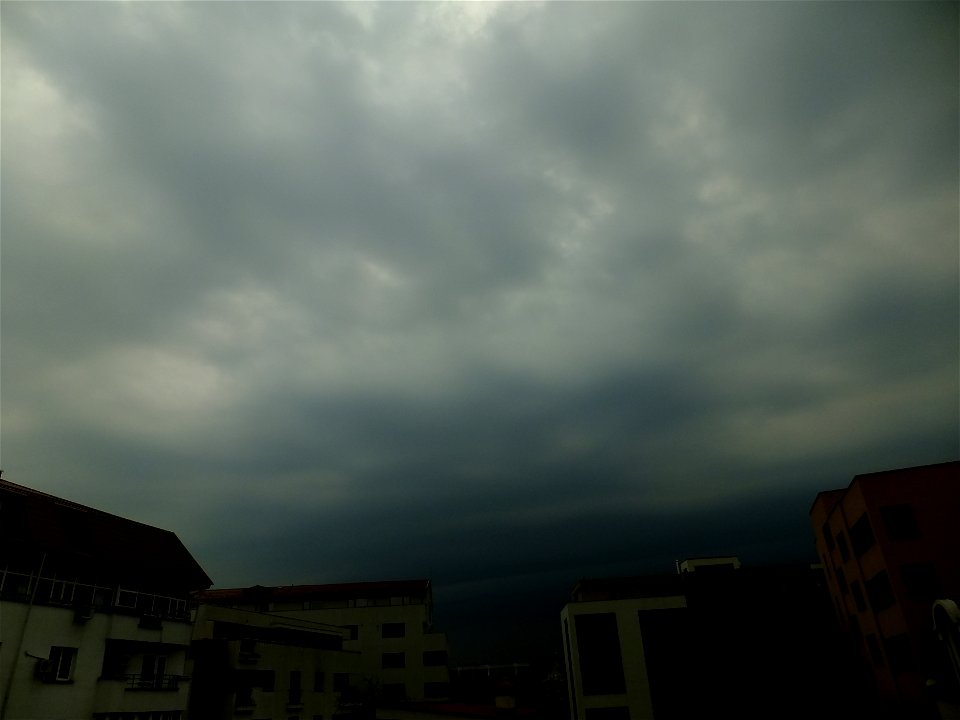 nori-sediu2015_0507_074820(1)