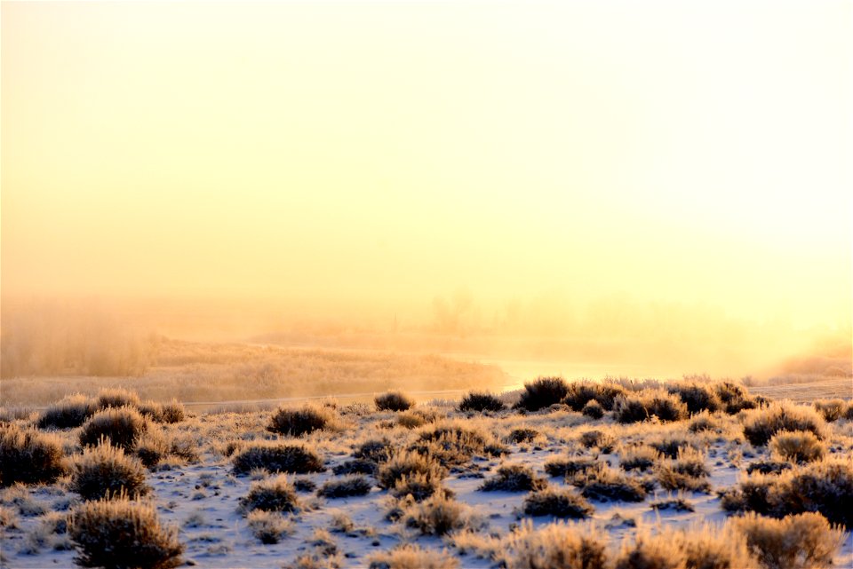 Hoar frost along the Green River at Seedsakdee NWR