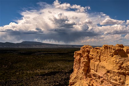 New Mexico Fuels Project photo