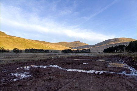 IMG_4153