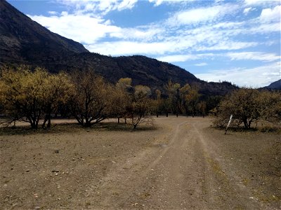 Homestead recreation vegetation