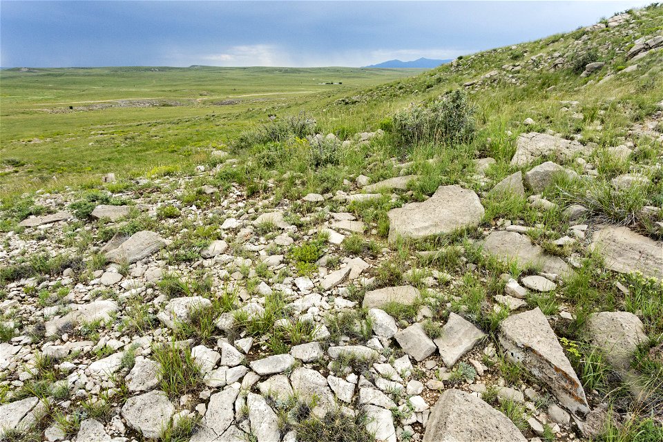 Near Cota del Gallo Arroyo