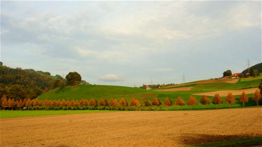 DSC00829