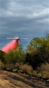 Aircraft Category - USFWS 2022 Photo/Video Contest photo