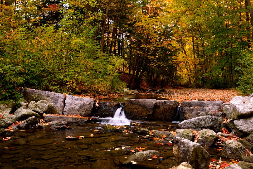 Sawmill Creek