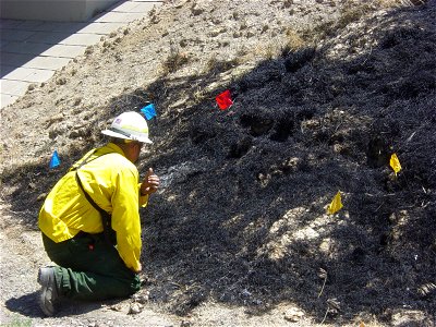 Fire Investigation photo