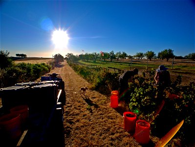 Friends Family and Grape Vines