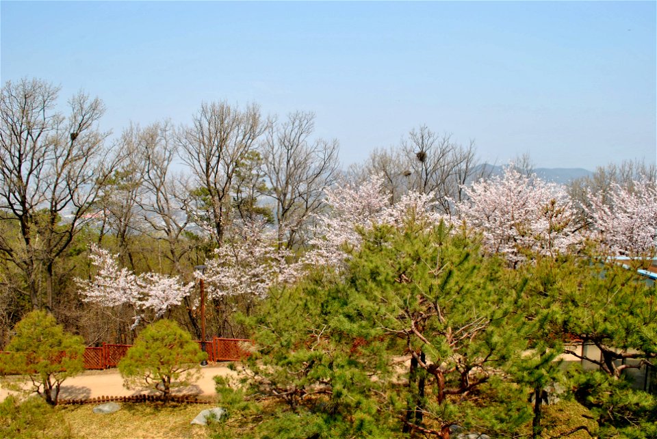 Younginsan Park Spring 2023