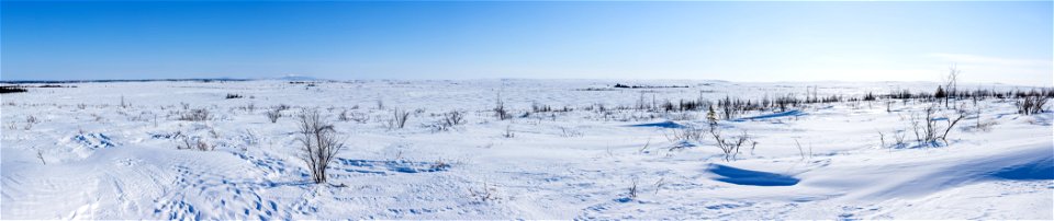 Panorama of snowy tundra photo