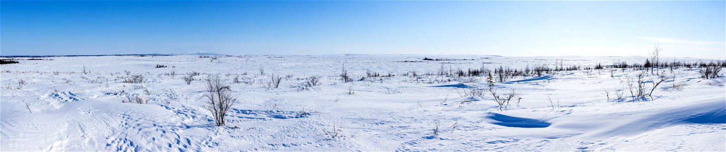 Panorama of snowy tundra photo