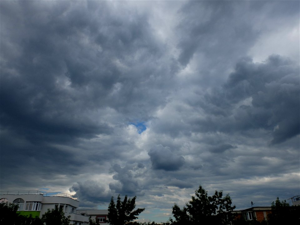 nori-sediu2015_0526_164923