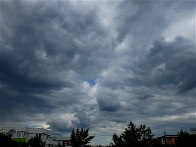 nori-sediu2015_0526_164923