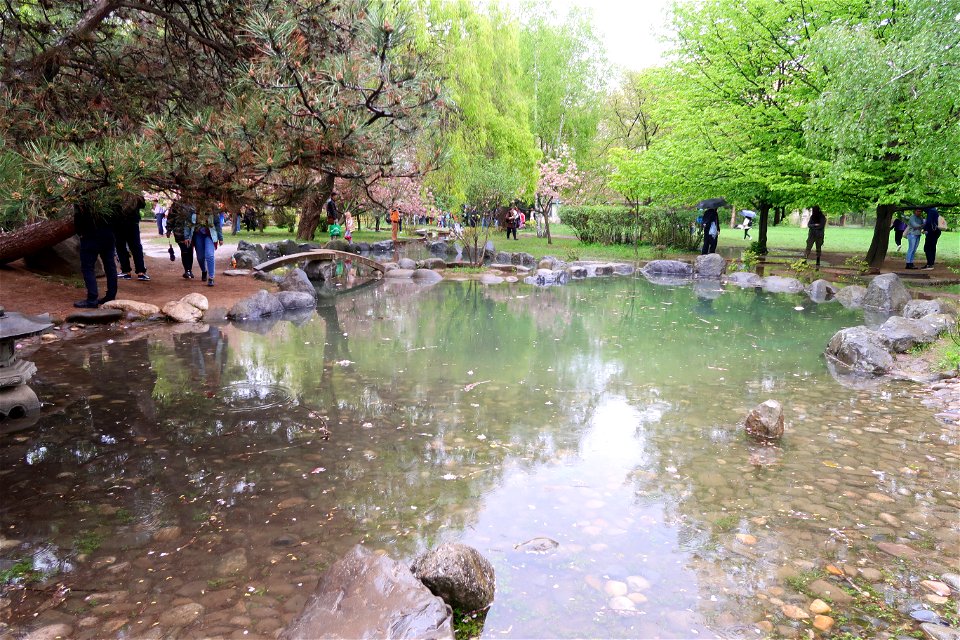 japanes_garden_rain_Herastrau (90)