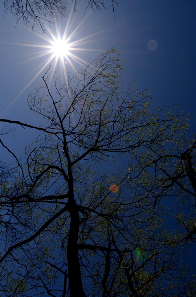 Spring has arrived in Pennsylvania!