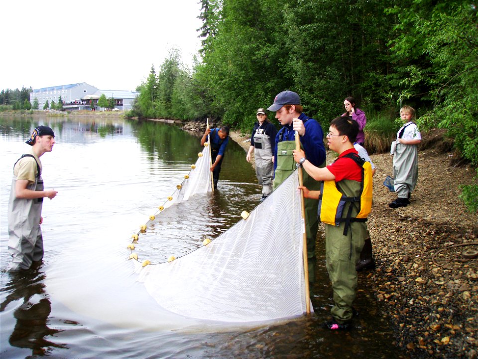 Alex helping with seining