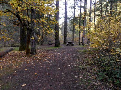 dumont4jpg_49364692681_o