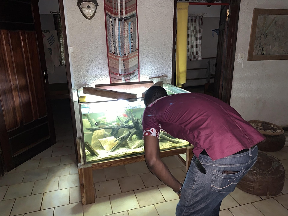 Visit aquarium fish