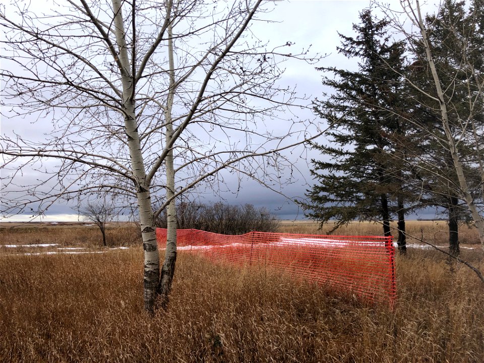 2022/365/309 Our Snow Fence Experiment