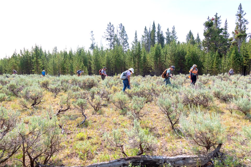 Salish Kootenai College Archaeology group: grid searching (3)
